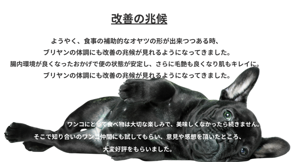 sato-bryan-story-4
